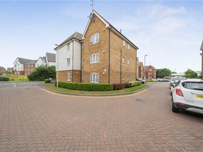 Picture 20